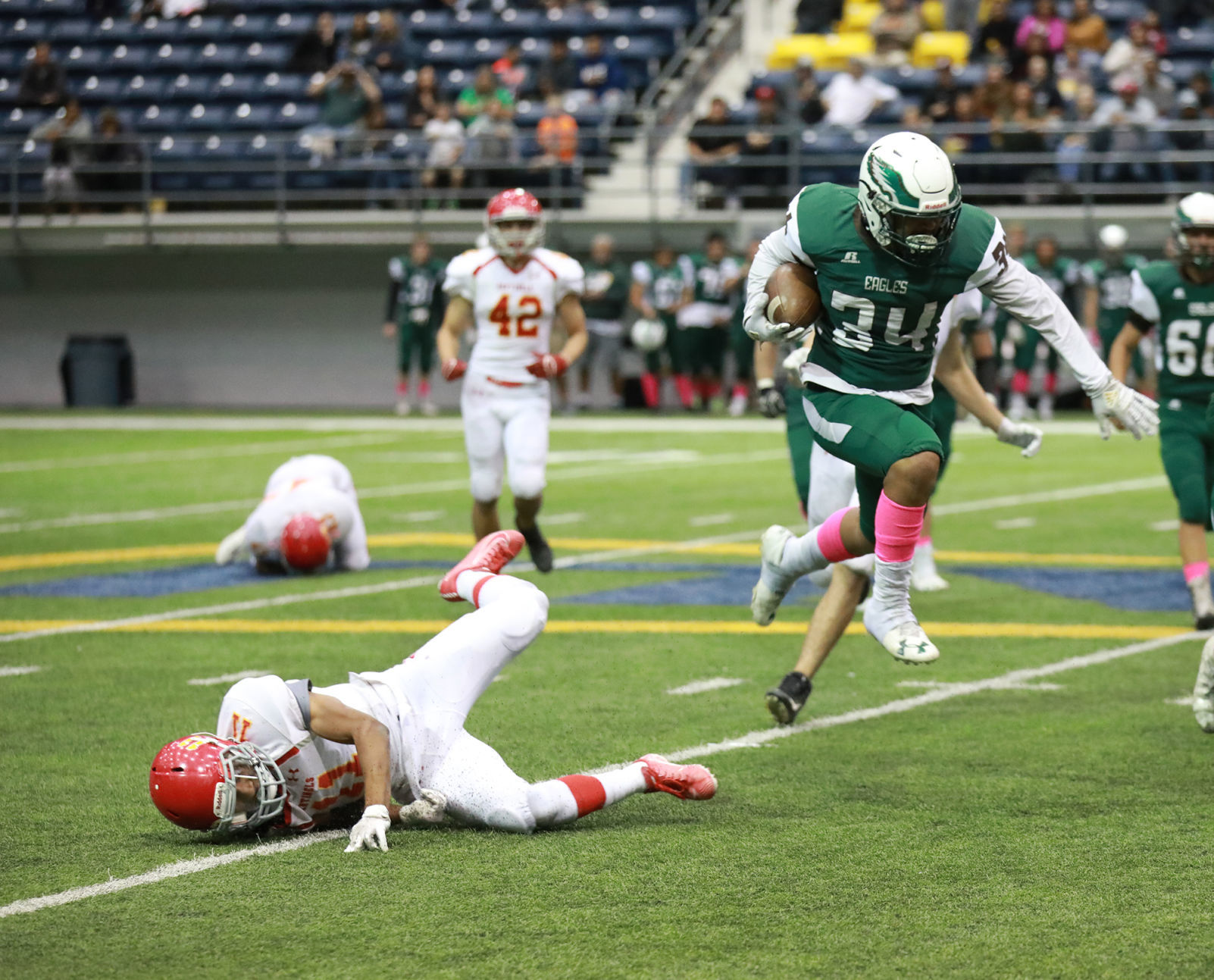 Hurdling The Defender